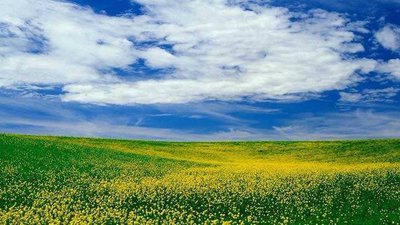 检验检测机构资质认定生态环境监测机构 评审补充要求（2025 年）